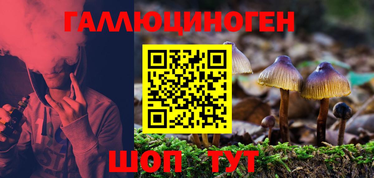 купить закладку  Галлюциногенные грибы Psilocybine cubensis  Псилоцибиновые грибы Magic Shrooms  Вход с VPN  Ахтубинск 
