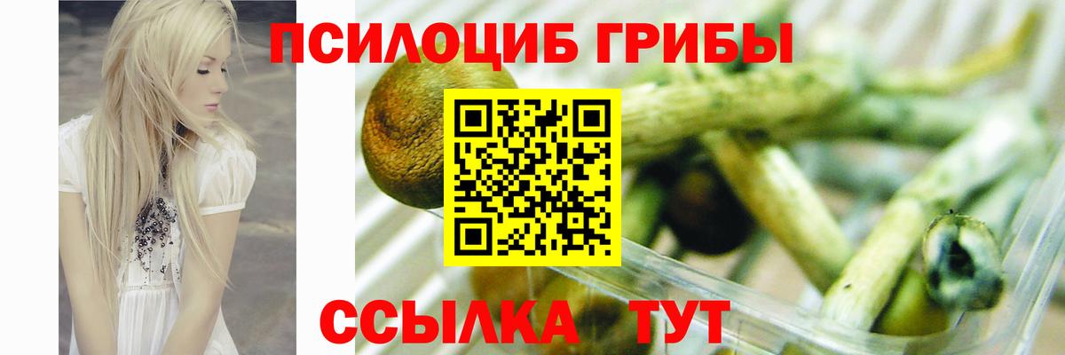 Псилоцибиновые грибы MAGIC MUSHROOMS Ахтубинск